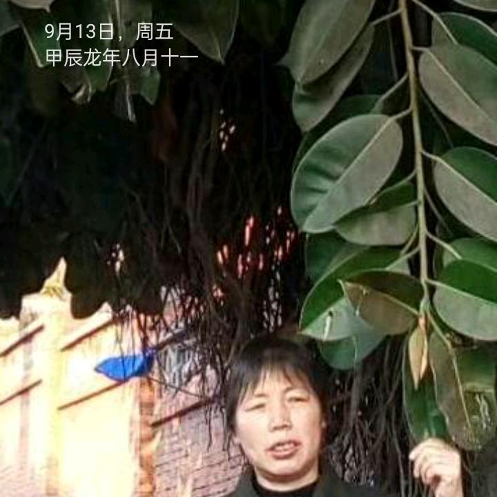 幸福一家人
