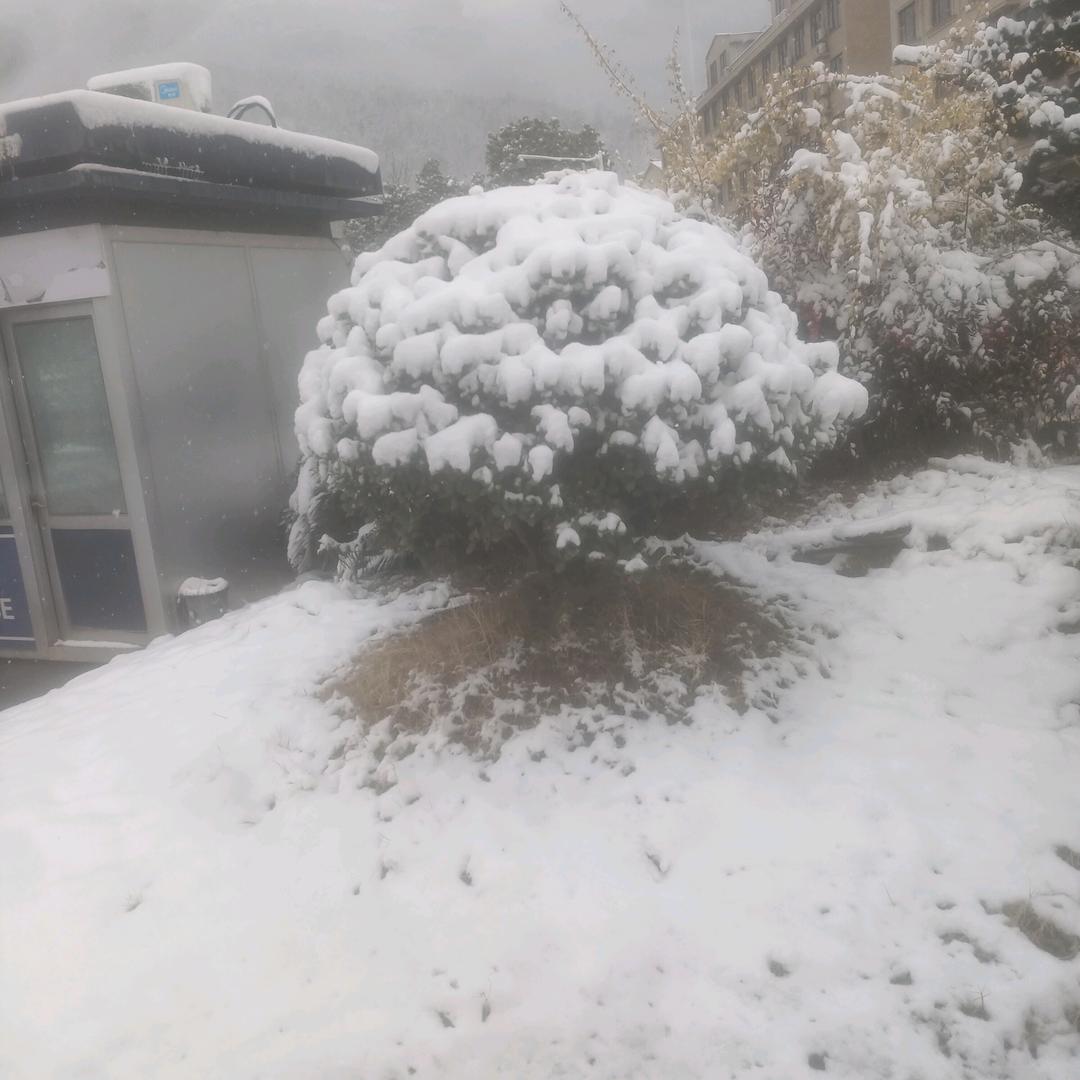 隔壁老杨。