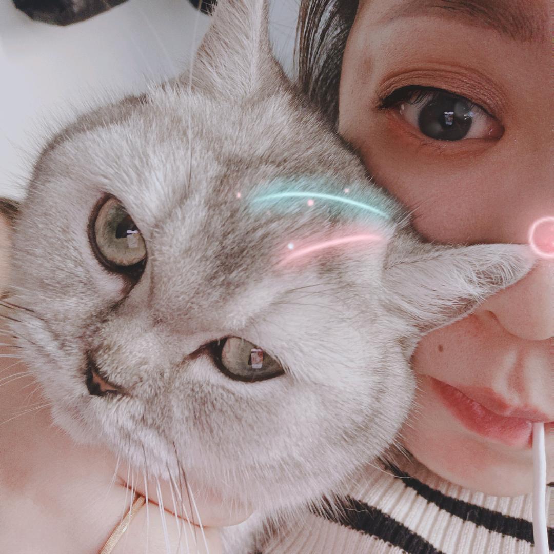 兔兔酱🎀