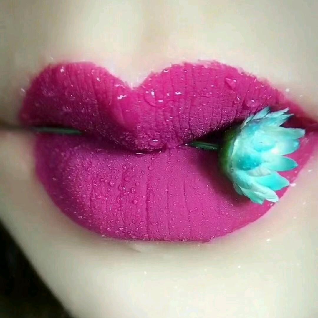 言锅，(长阳农村总管支客书)