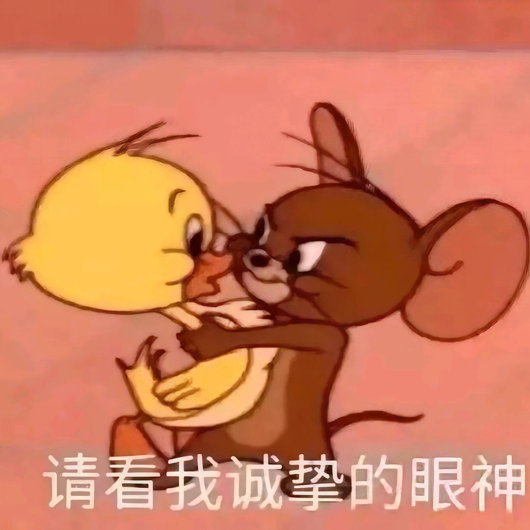 来辽~来辽