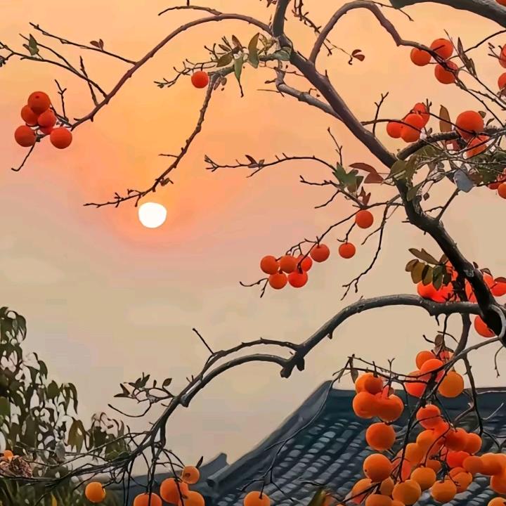火锅饸络大碗十元