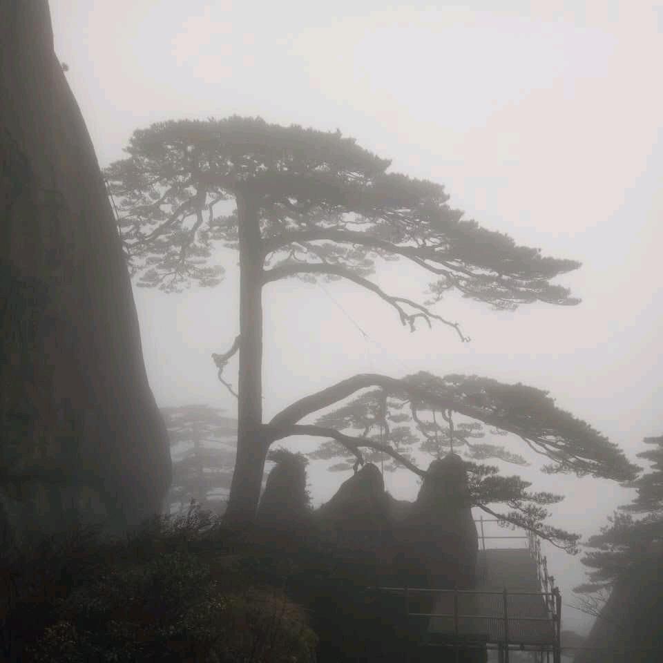 ớ ₃ờ笑口常开