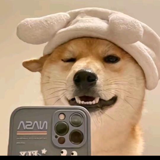 我要瘦成一条闪电⚡️