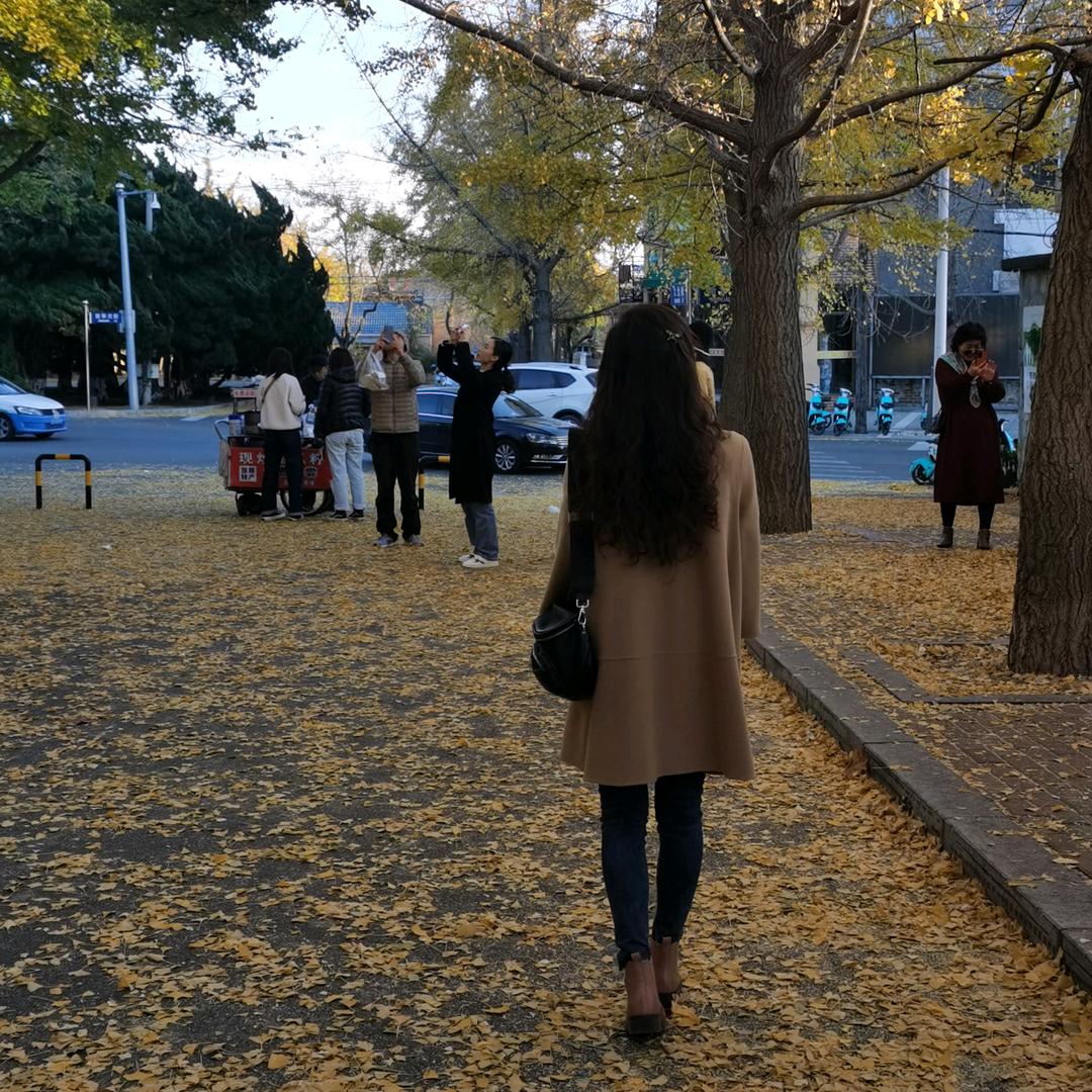 自在翻闲书