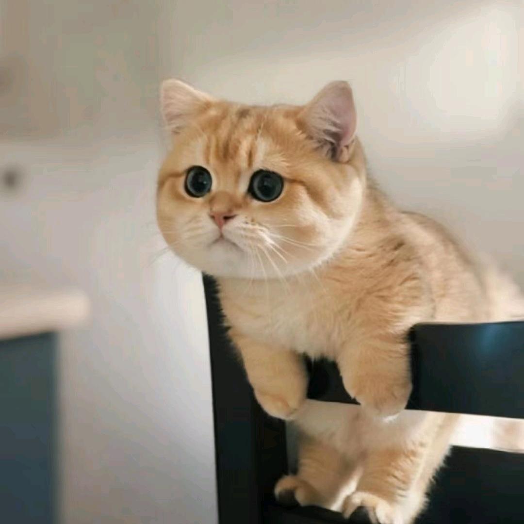 汐.