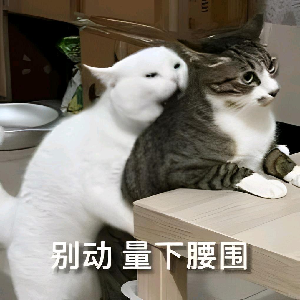 封寒