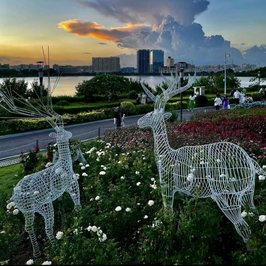 ༄༊半寸时光℘࿐