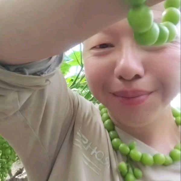 🐔🍇乌淘