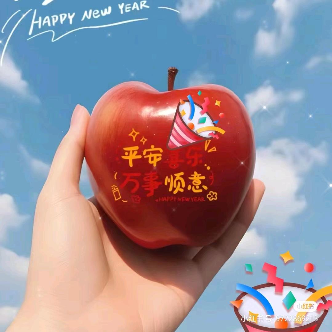 种自己的花，爱自己的宇宙🌍