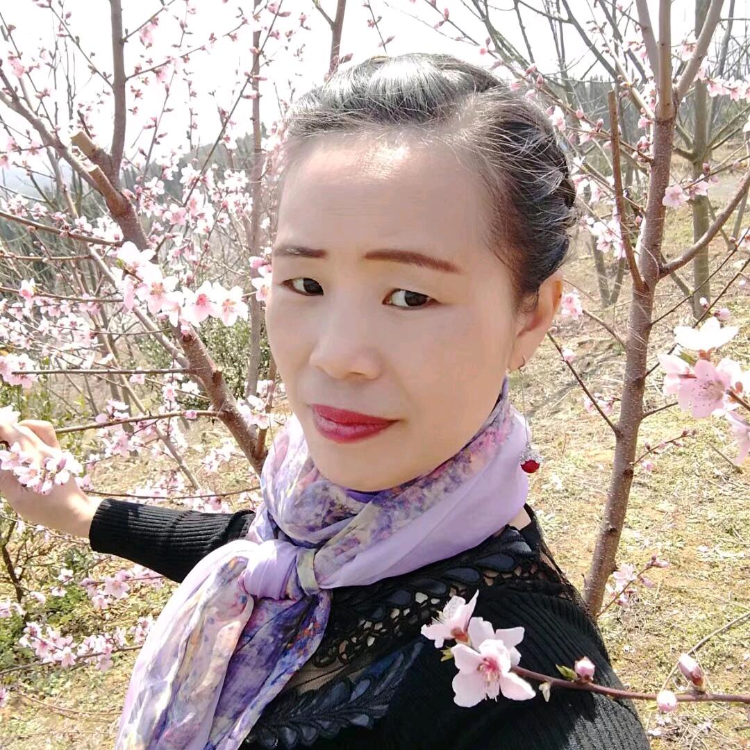 南飞的雁