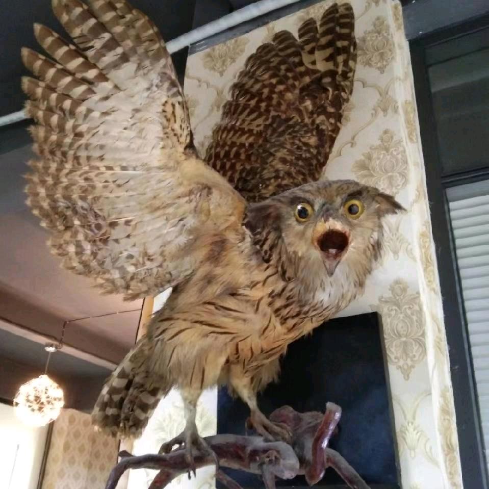 人生