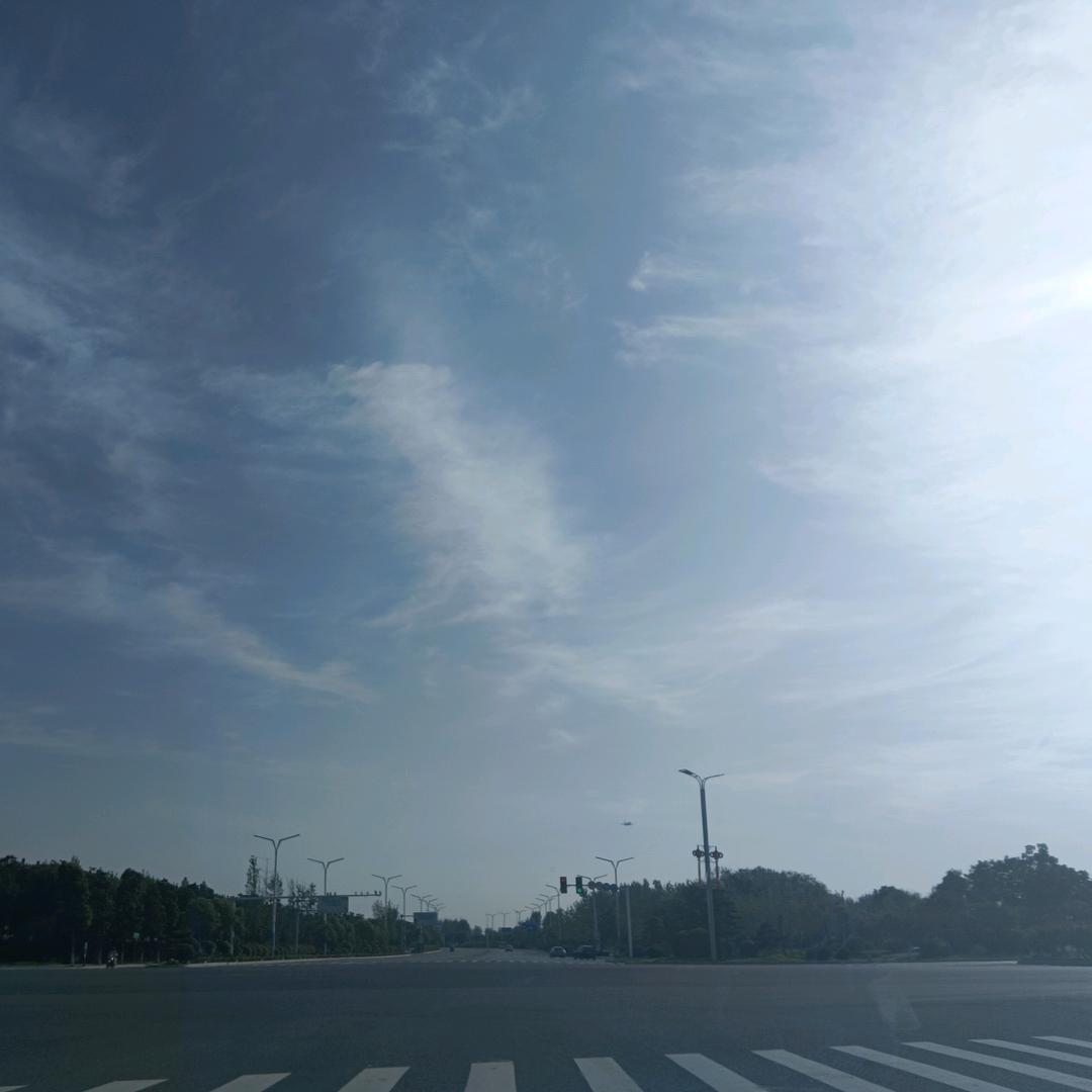 张 不 大