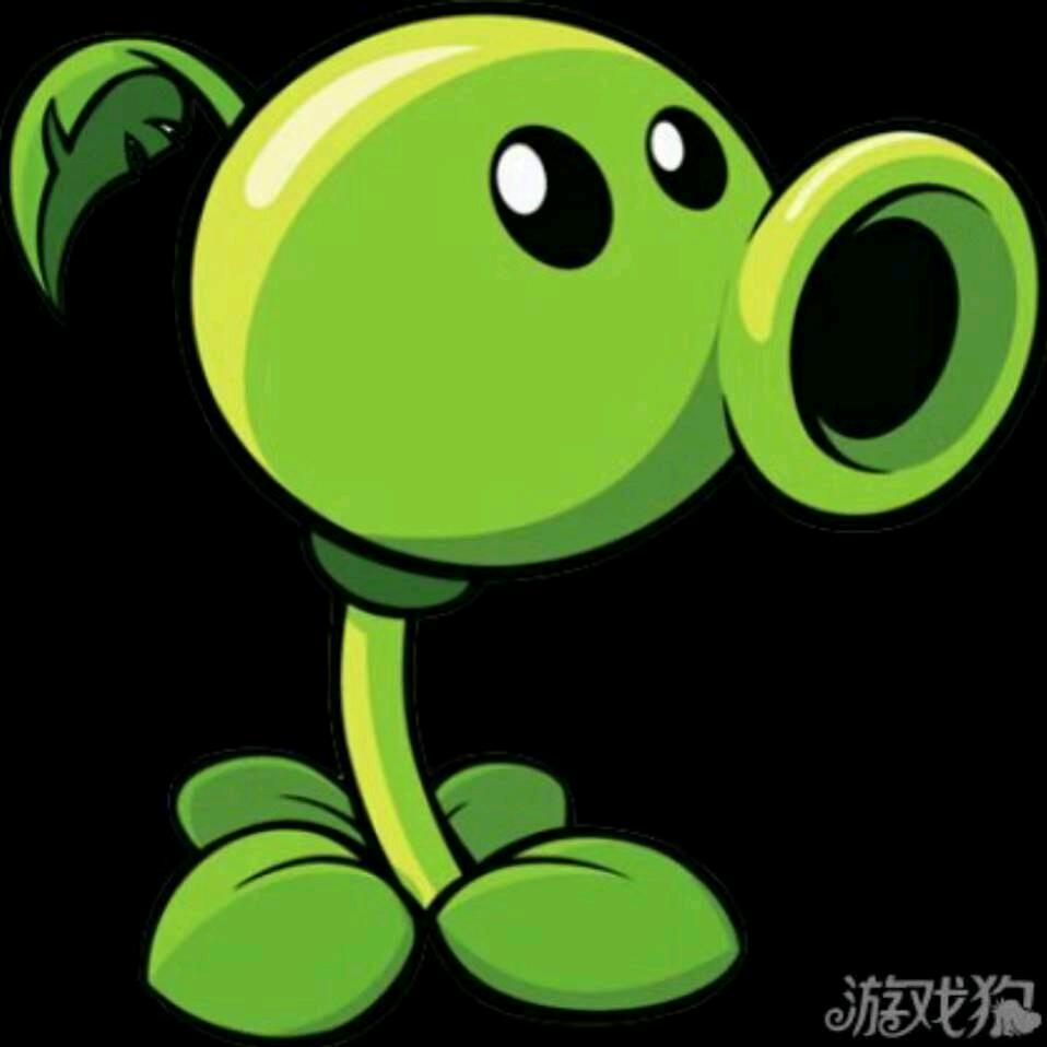 豌豆加油努力