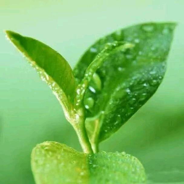 叫我俊蓉也可以呀