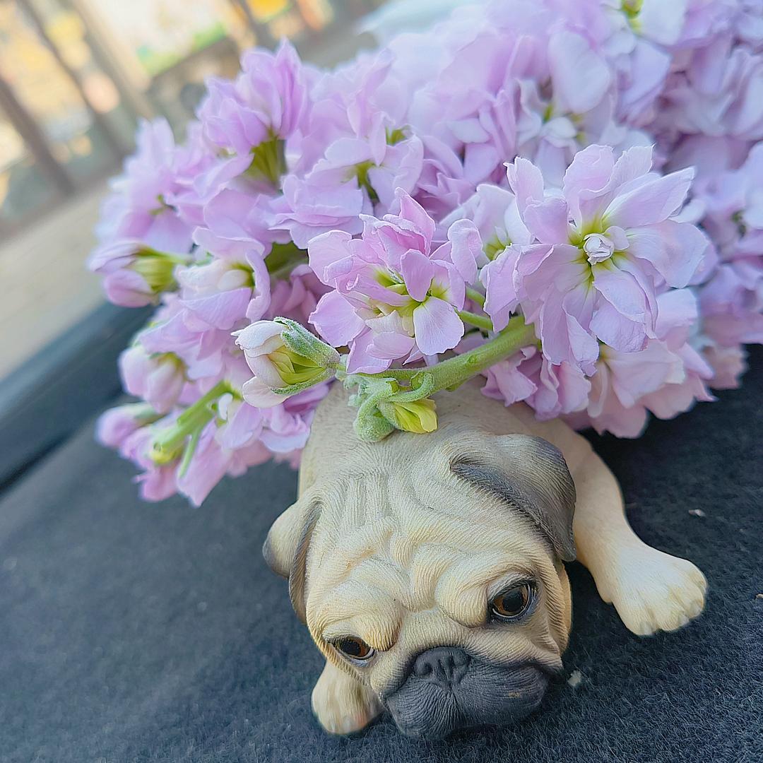 🍒Lin🐾