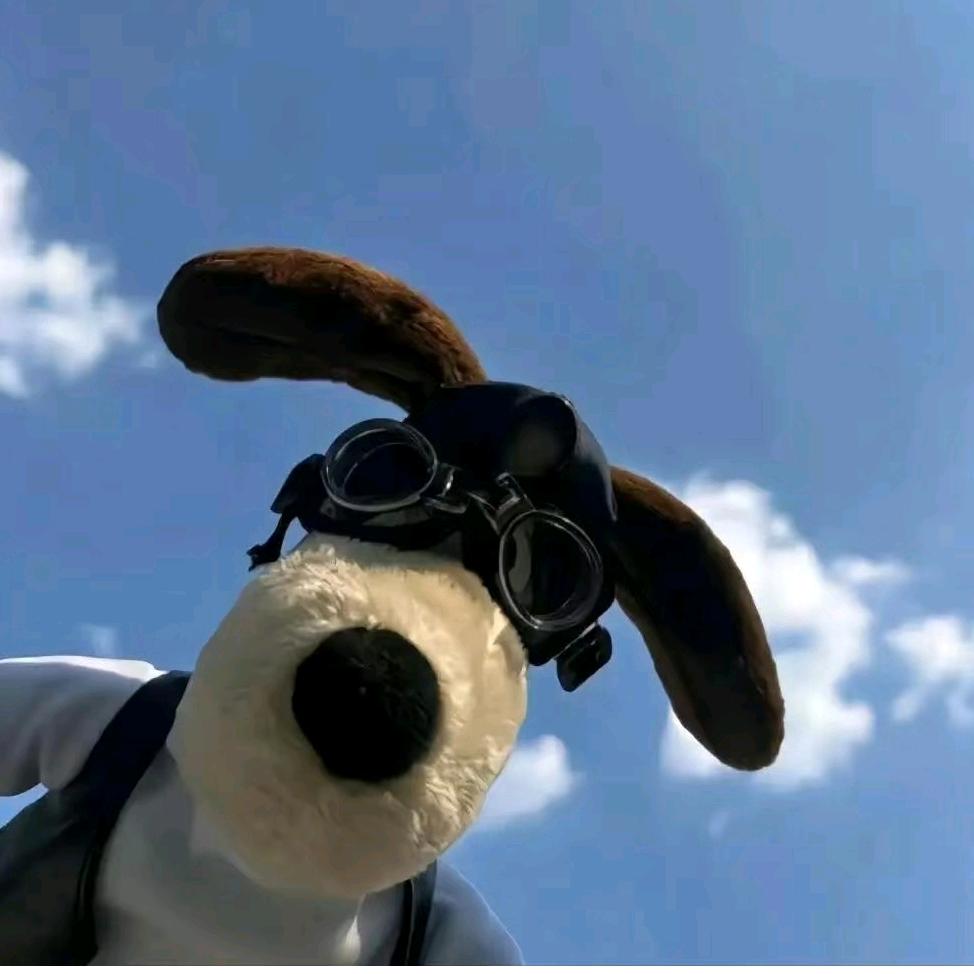 .........