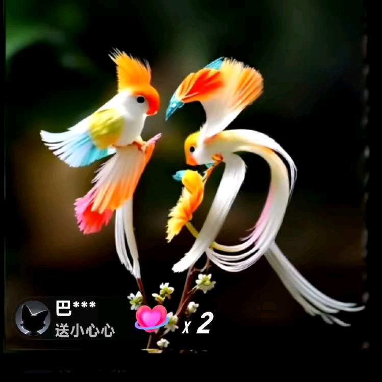 杨哥