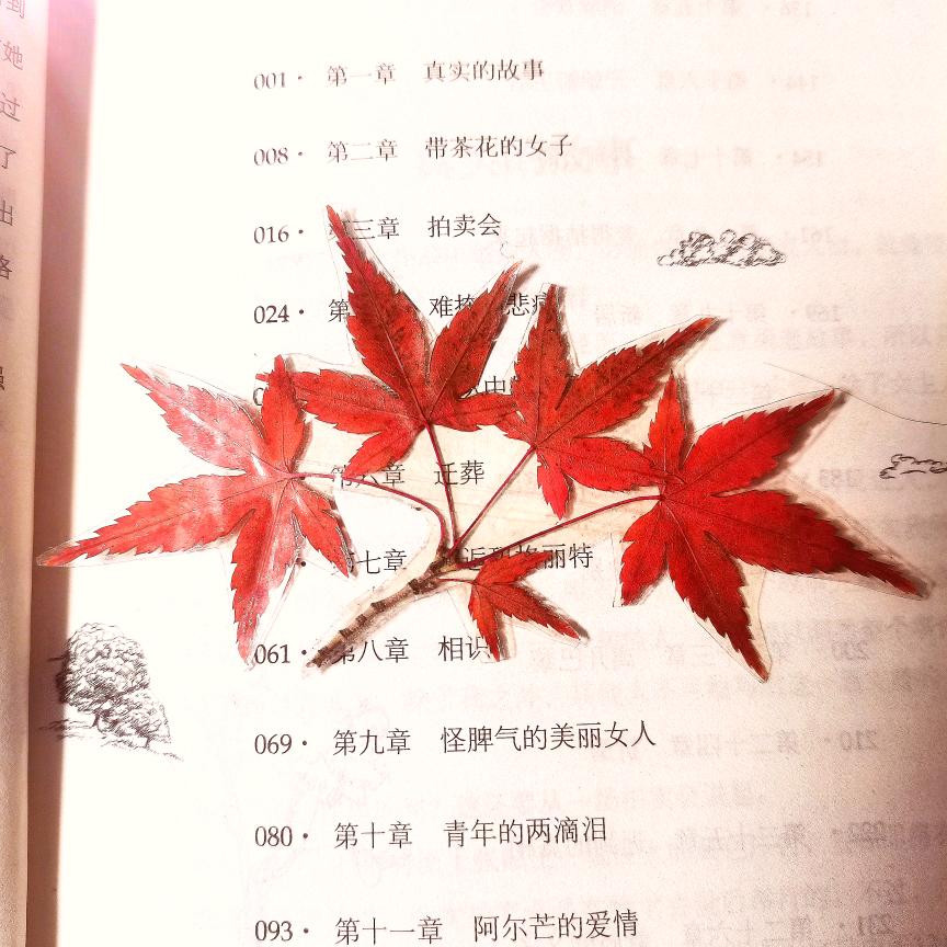彤彤爱家