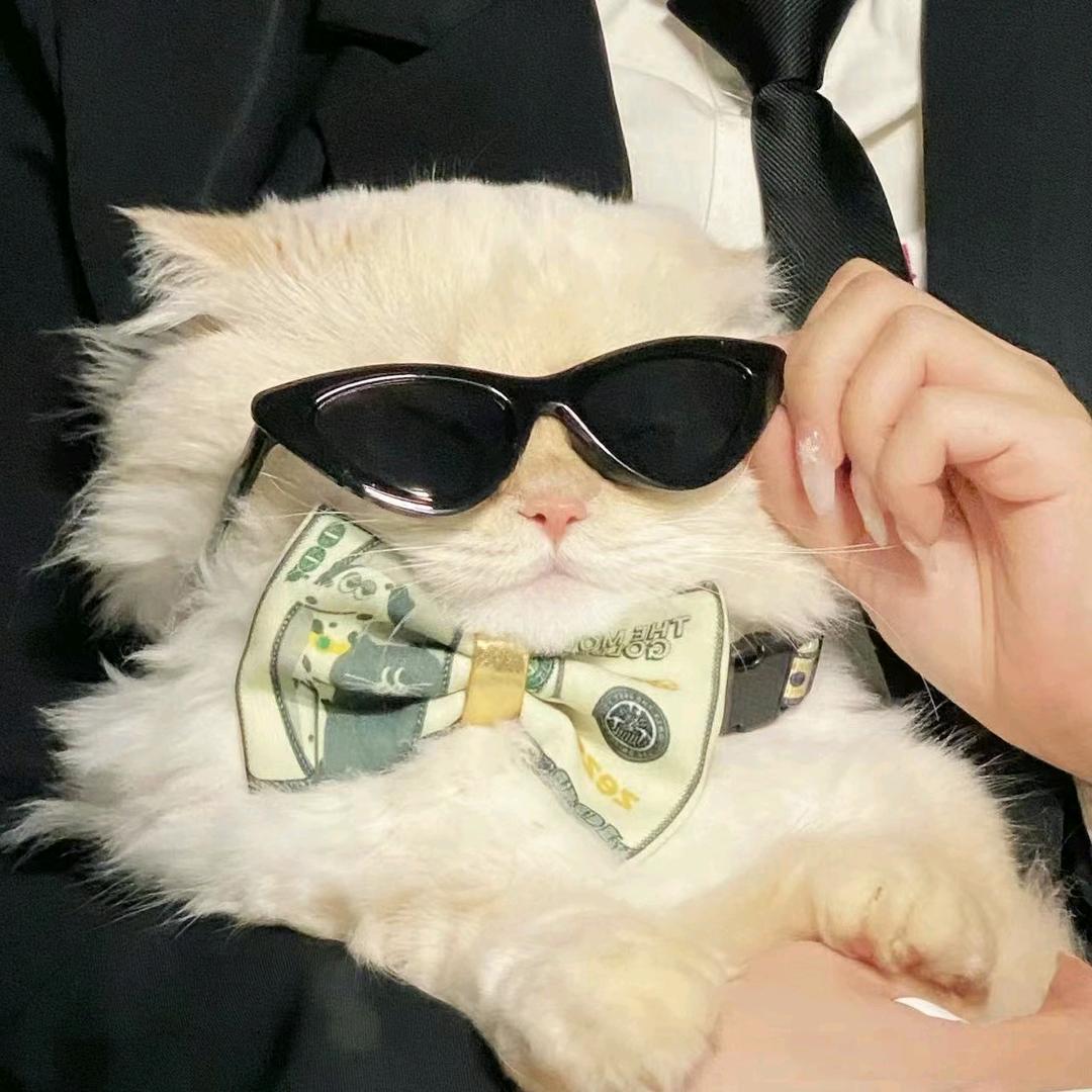 迷倒小帅
