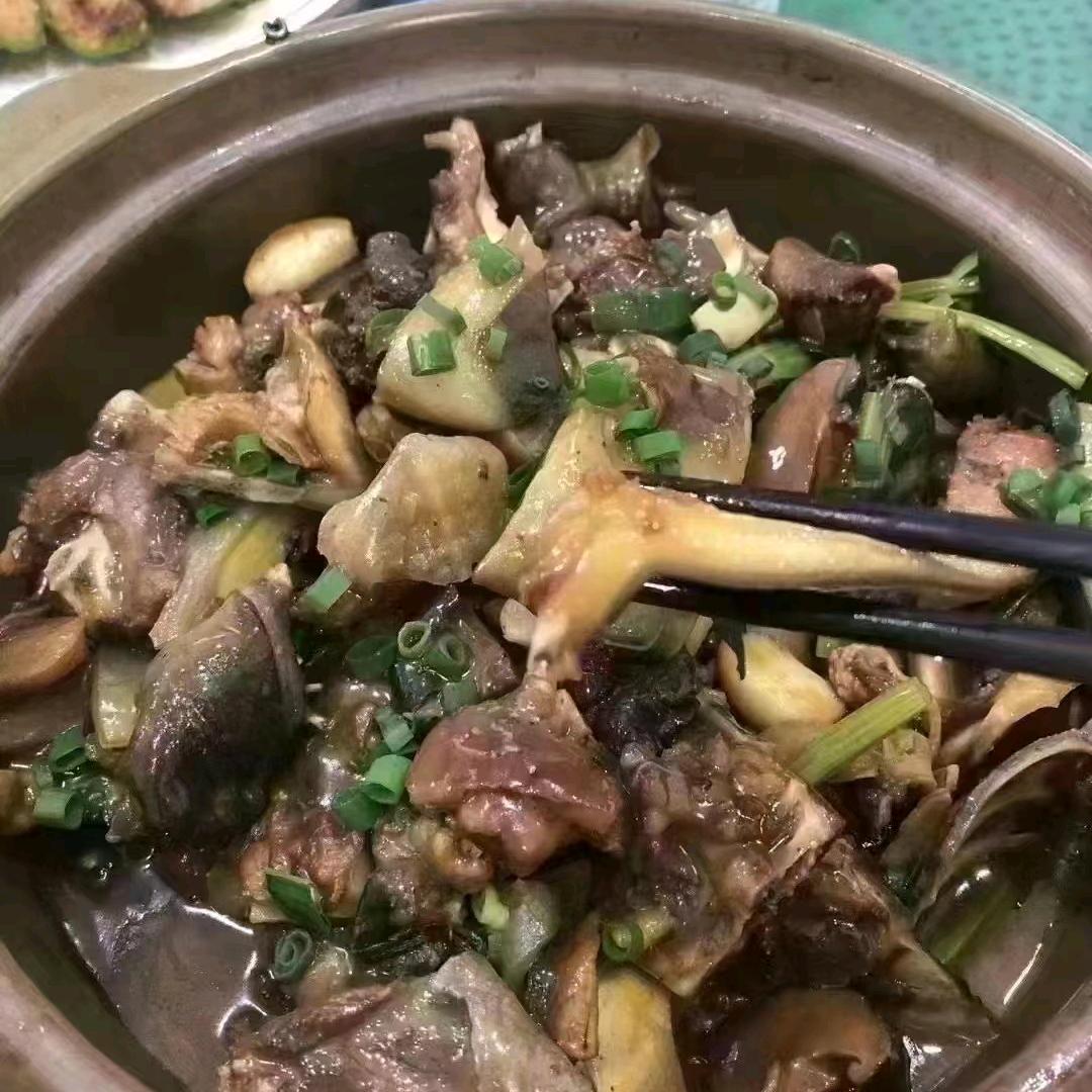 生态甲鱼小张