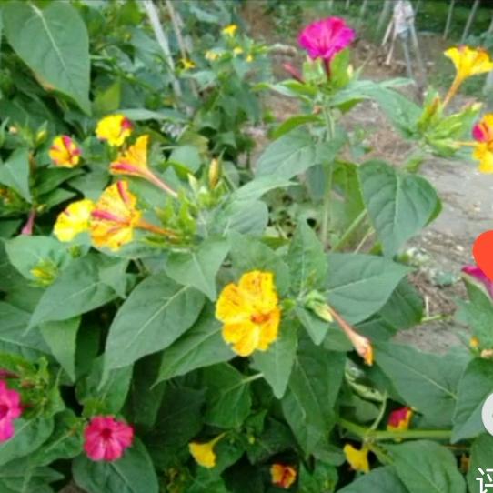 断了联系忘了你