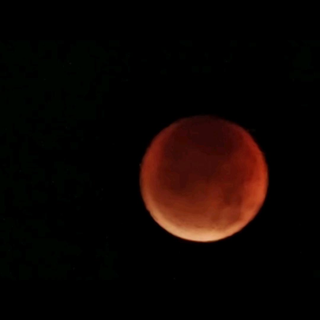 我也不太了解她