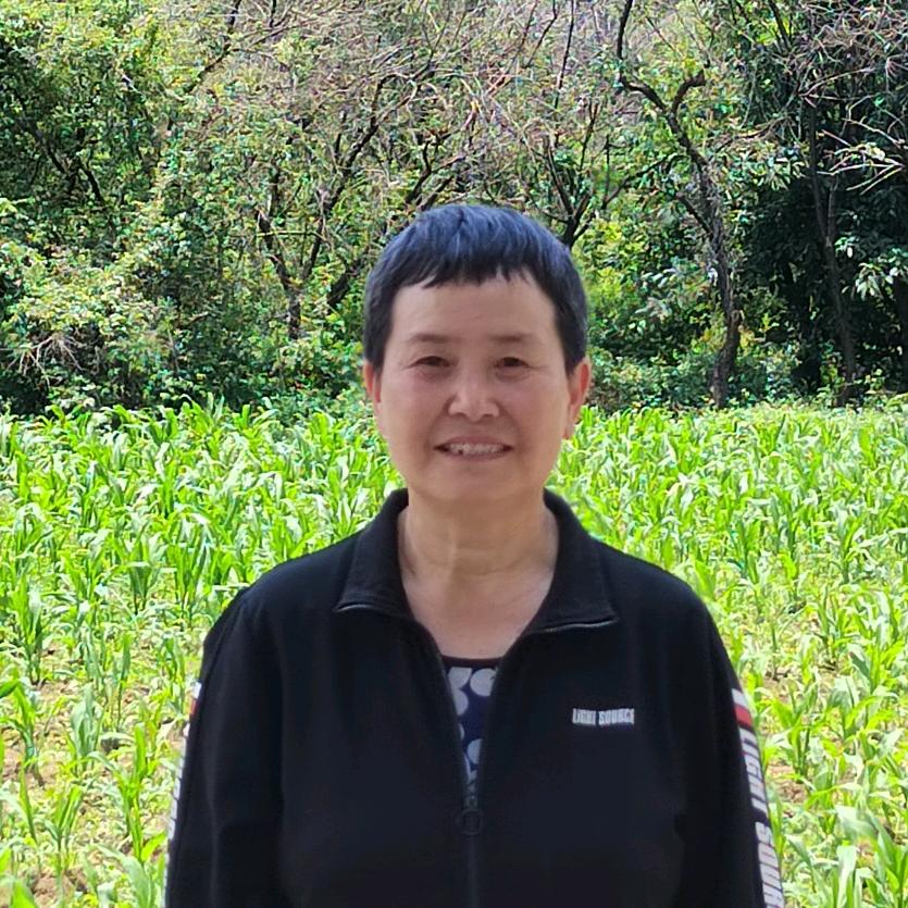 杜艳