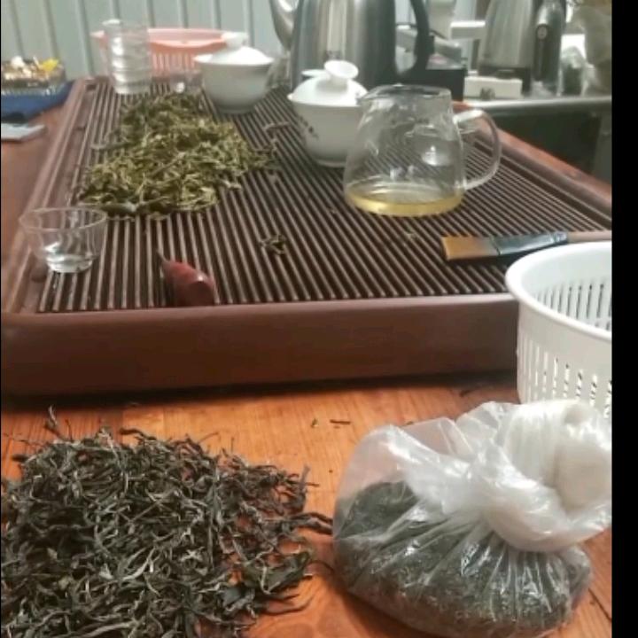 大树茶，茶叶之乡，欢迎来，