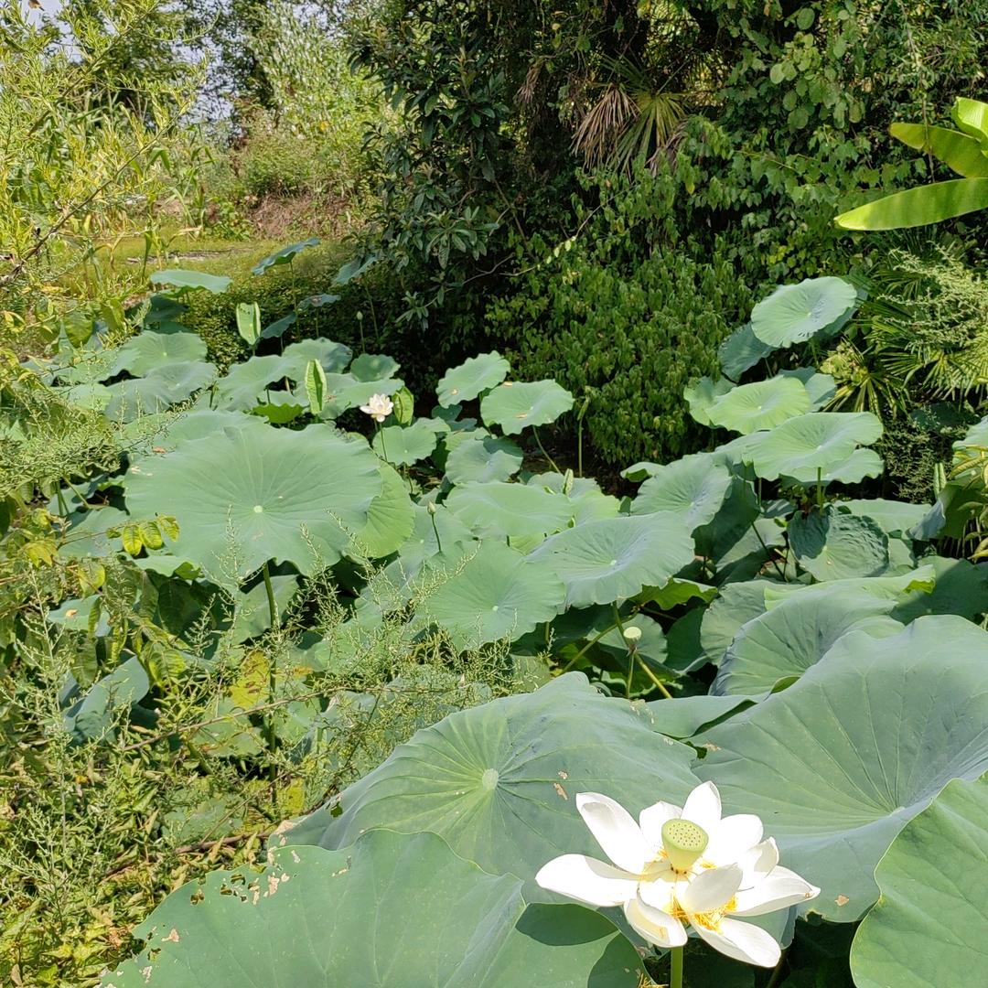 扶持