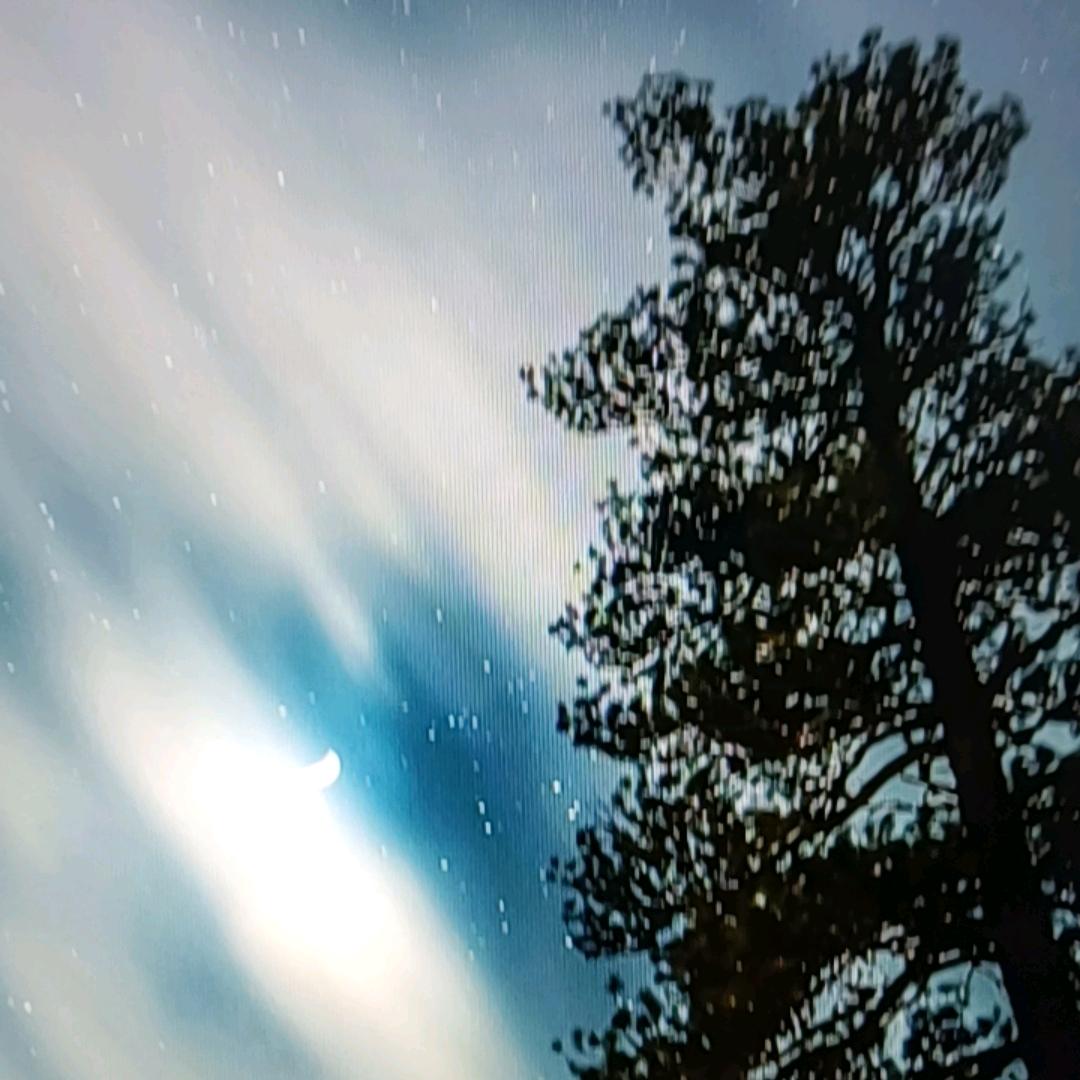 林痣晴（直播甄选）