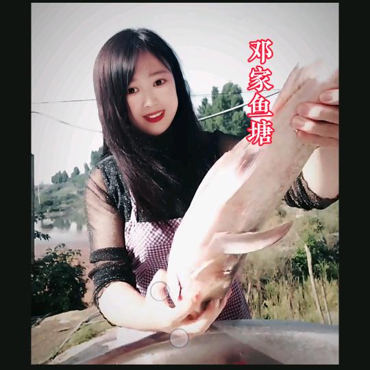 @辉辉