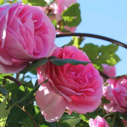 :刂1丶腌丿所、∴‘