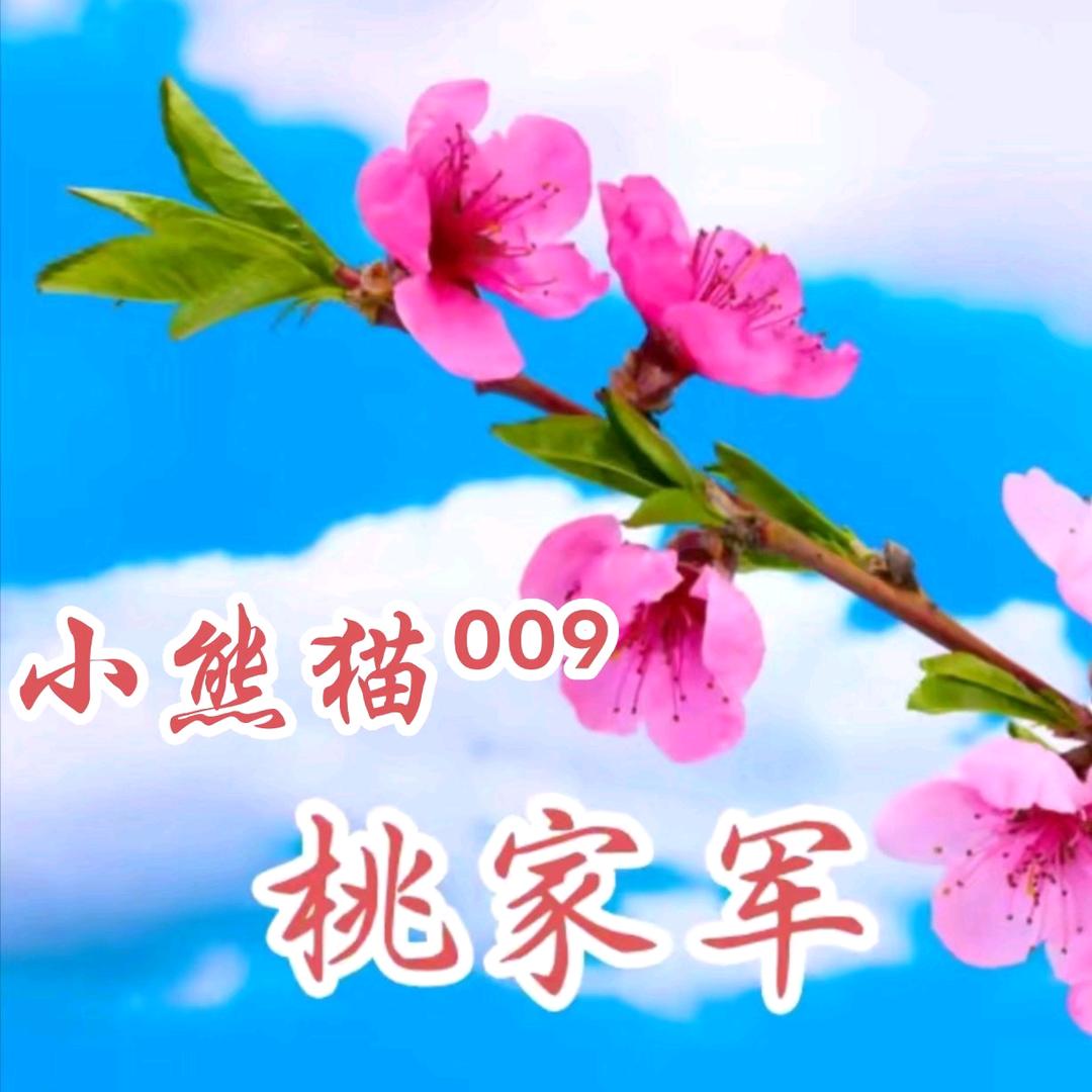 小熊猫@桃花军⁰⁰⁹