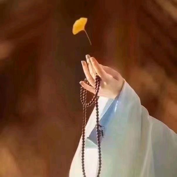 金蛇银舞🐍头像