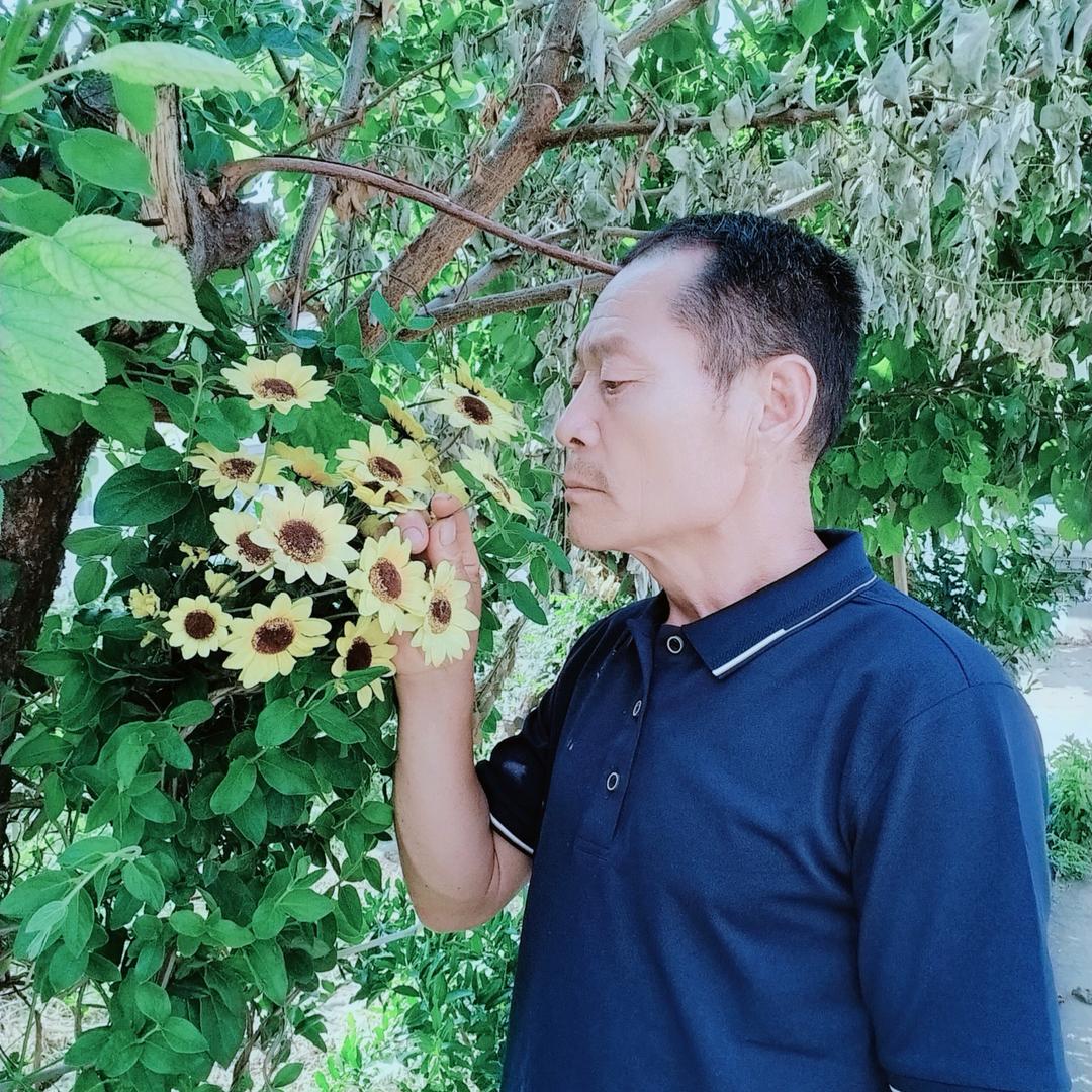 抖一歌