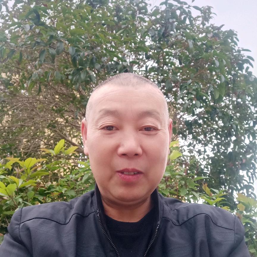 达光平