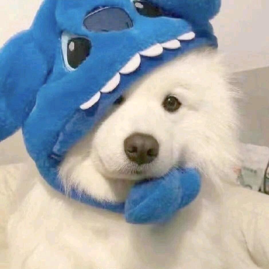 Hi~ o(*￣▽￣*)ブ