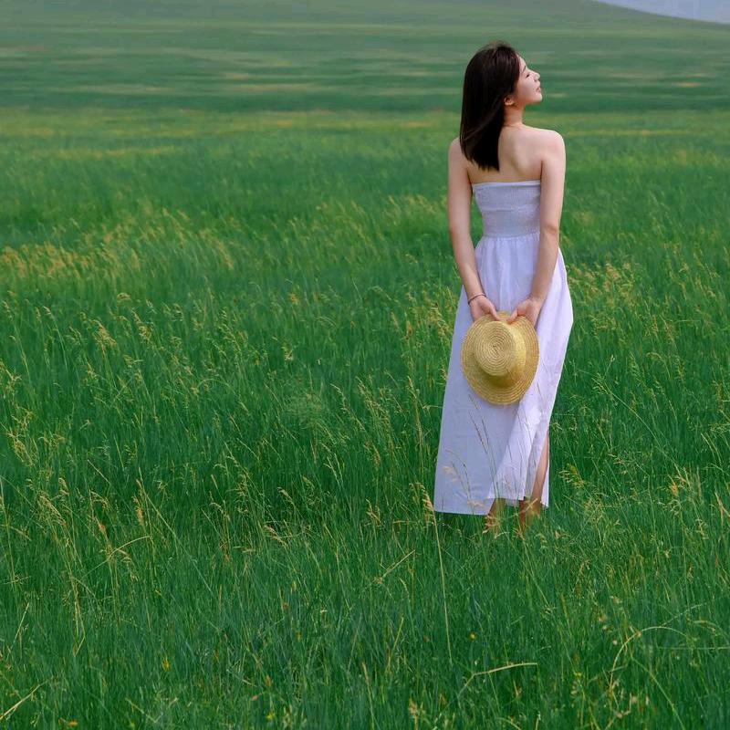 向日葵🌻