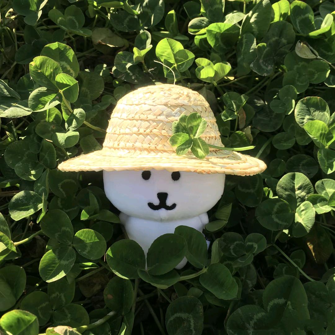 🌈飞奔的die🌈☀🎠