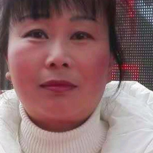 杨琴演艺