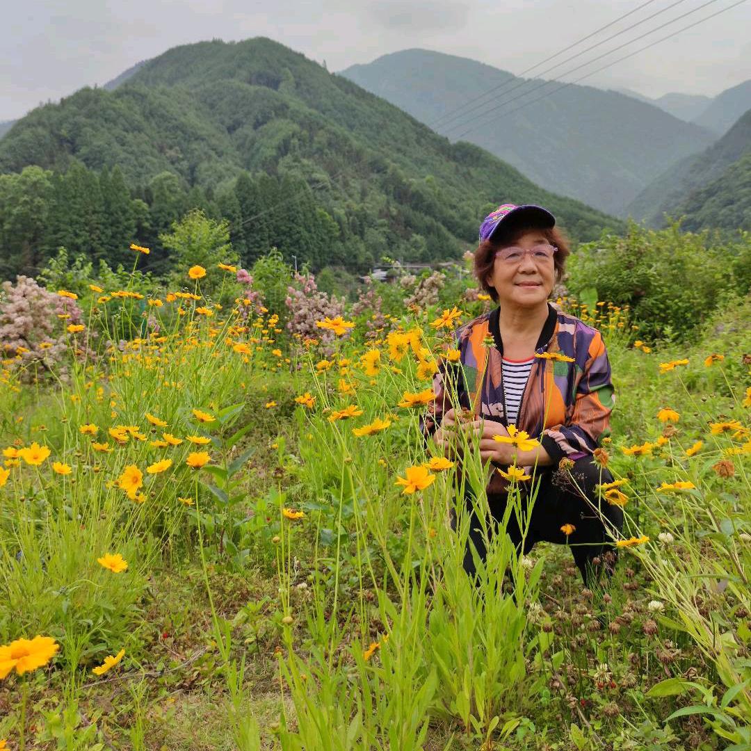 惠惠
