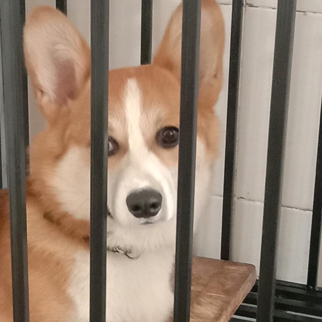 榜一大哥。