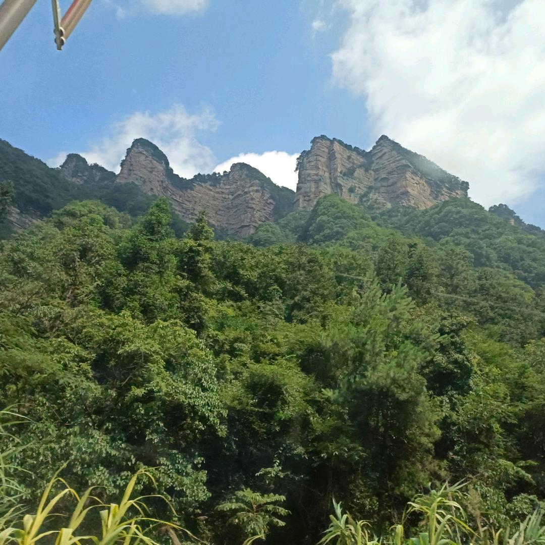 阿豪丶