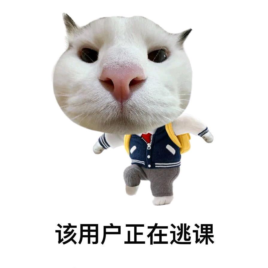 秦百胜