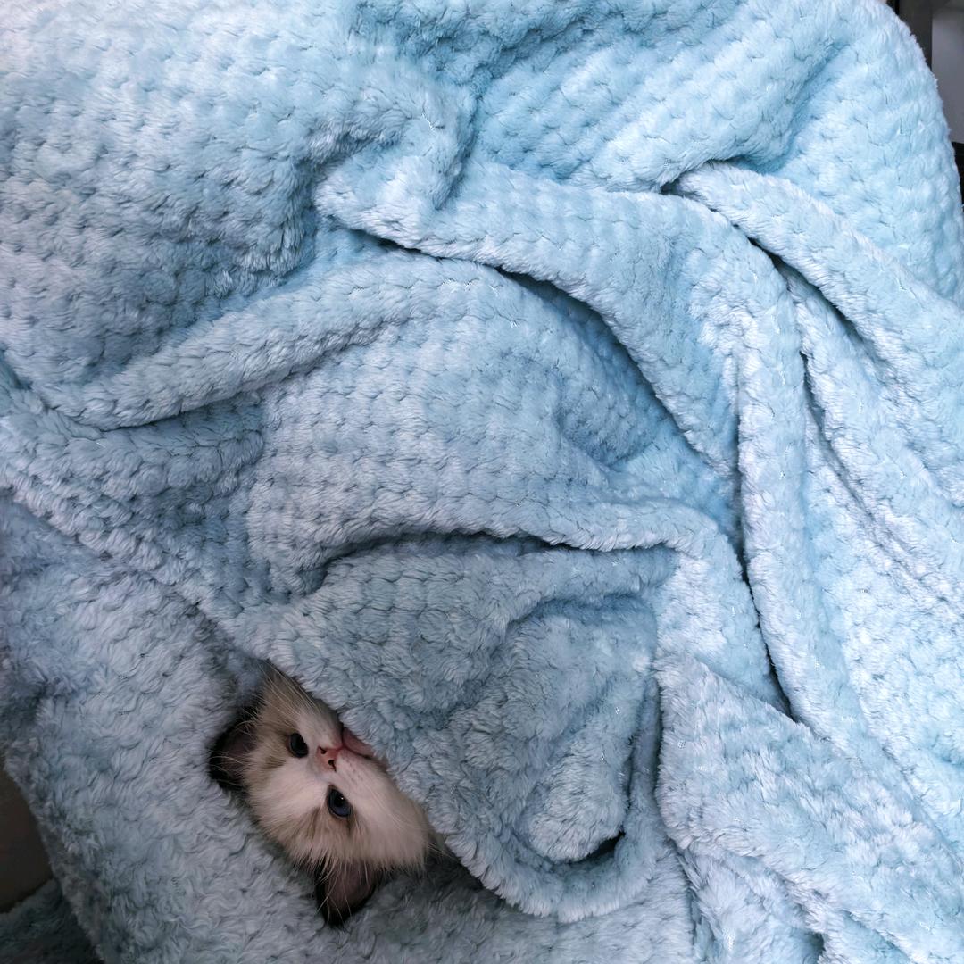 用户后面一串数字