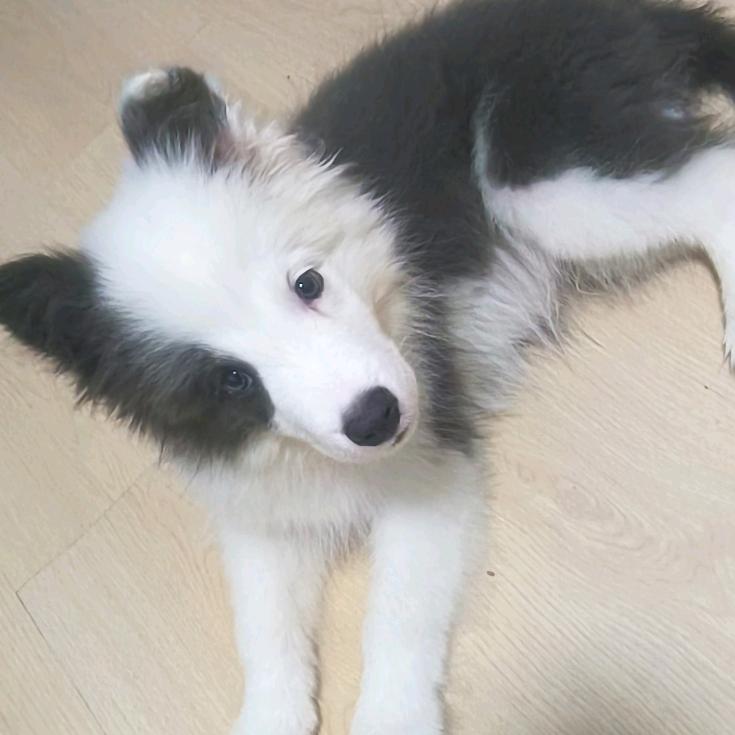 ༺ཌༀൢ唛༒兜ൢༀད༻