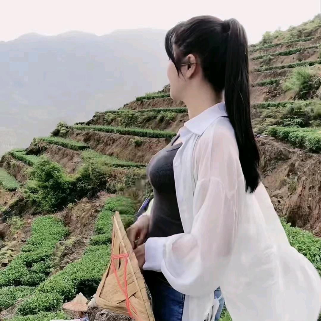 cha157157