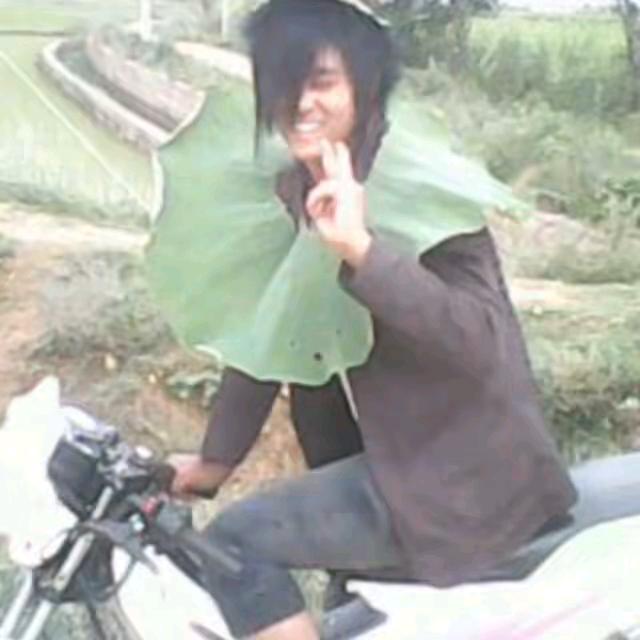 施甸挖杨立军打桩1508740253