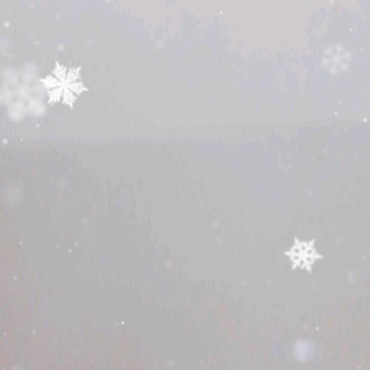 老王